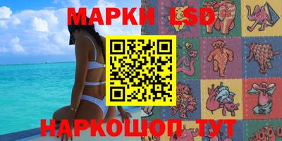 кокс Нальчик